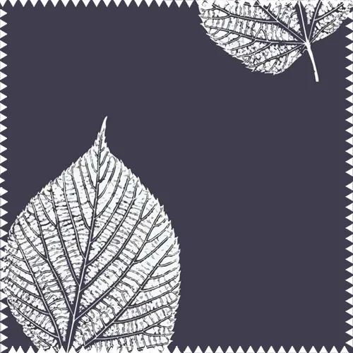 Premium Curtain Fabric