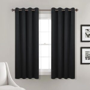Insulated Black Curtain