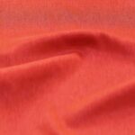 7037-Volie-and-Venechia-1